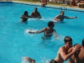 piscine_4_bassins